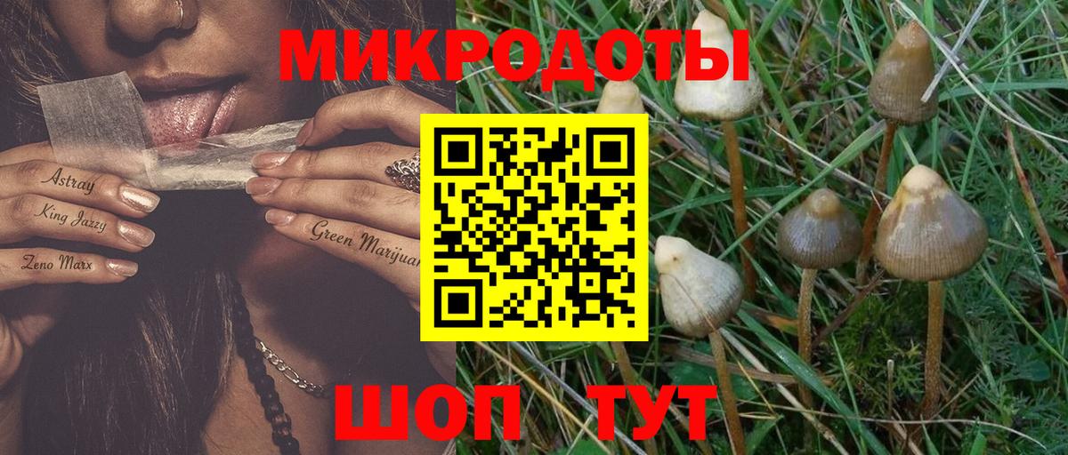 Галлюциногенные грибы MAGIC MUSHROOMS Строитель