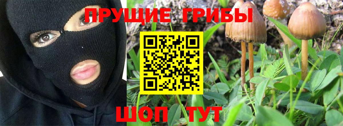 Псилоцибиновые грибы Cubensis  Вход с VPN  Галлюциногенные грибы прущие грибы  Строитель 