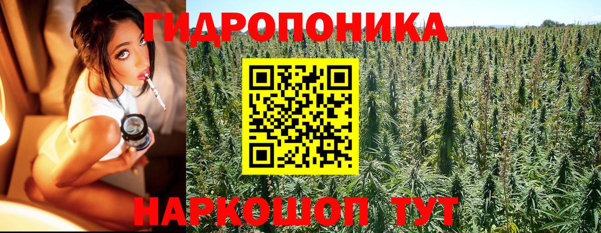 МАРИХУАНА гибрид  Вход с VPN  Каннабис ГИДРОПОН  Строитель  Конопля Amnesia 